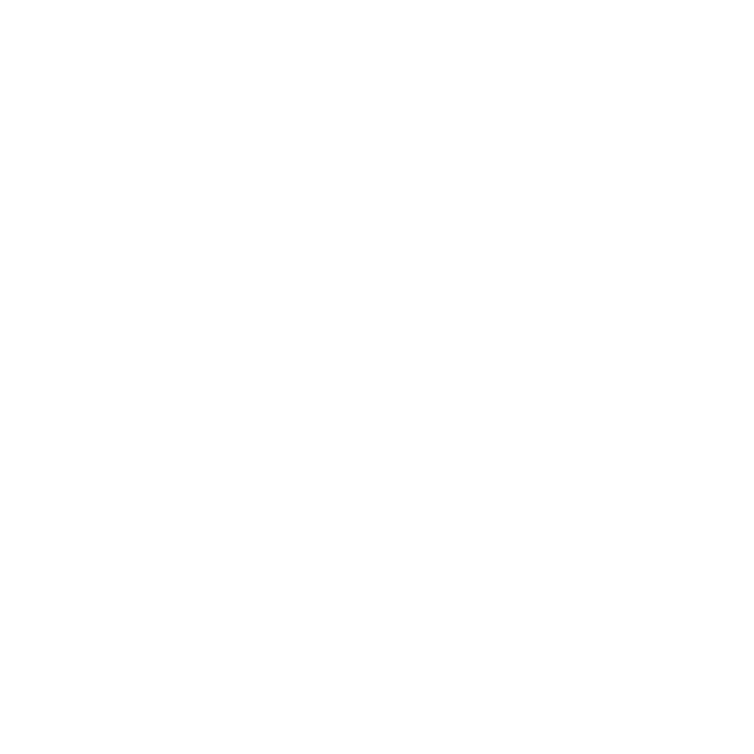 BMW Logo White