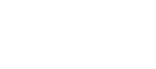 Austin Mini Logo White